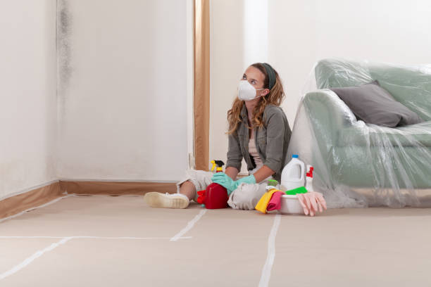 Reliable Commercial Mold Remediation contractor in Forest Lake, MN by 24 Hour Mold Removal